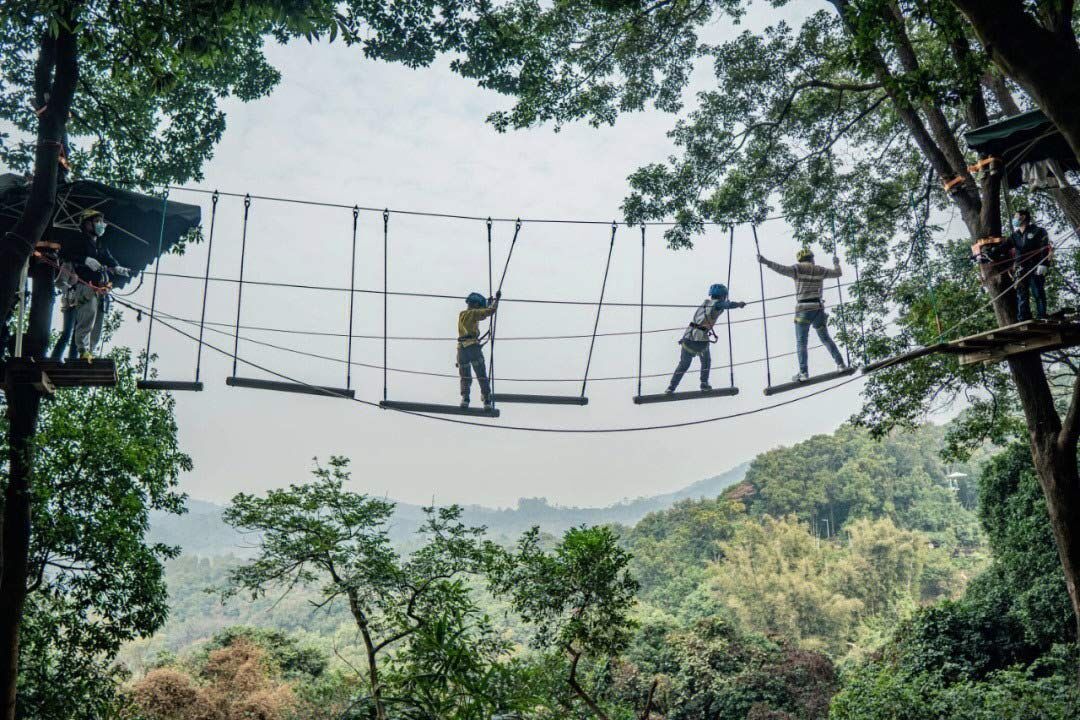 丛林拓展 (2).jpg 丛林拓展 (2).jpg