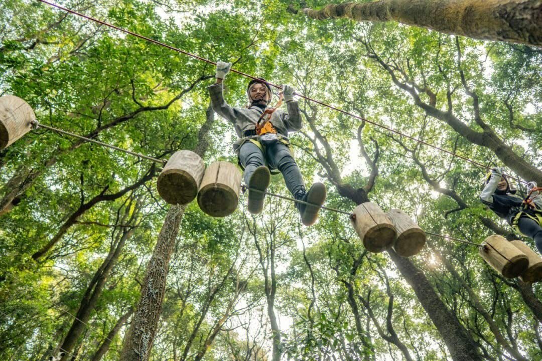 户外丛林拓展有哪些优点？