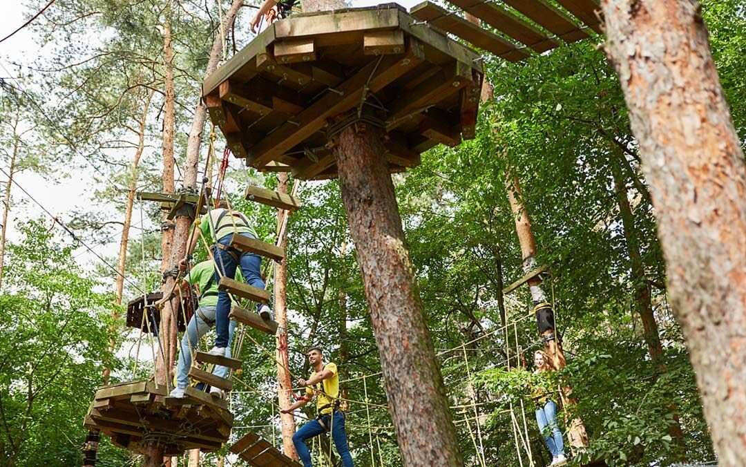 丛林探险 (3).jpg 丛林探险 (3).jpg