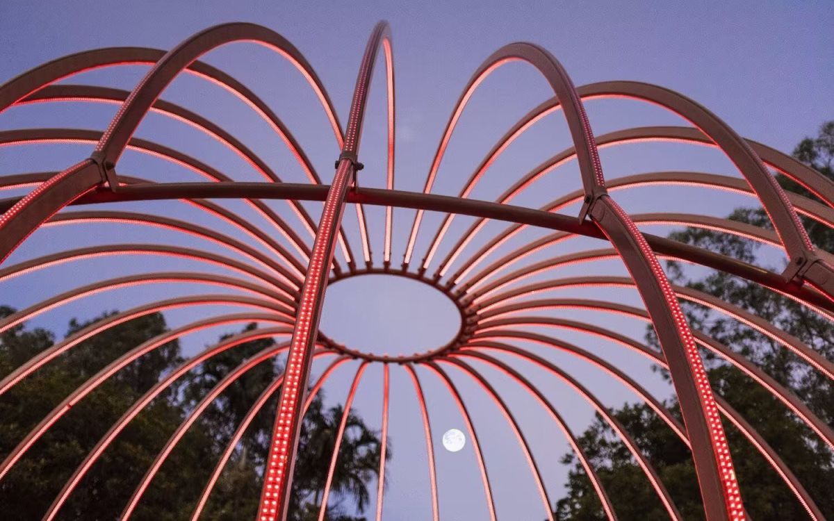 13310465959108047.jpeg 13310465959108047.jpeg