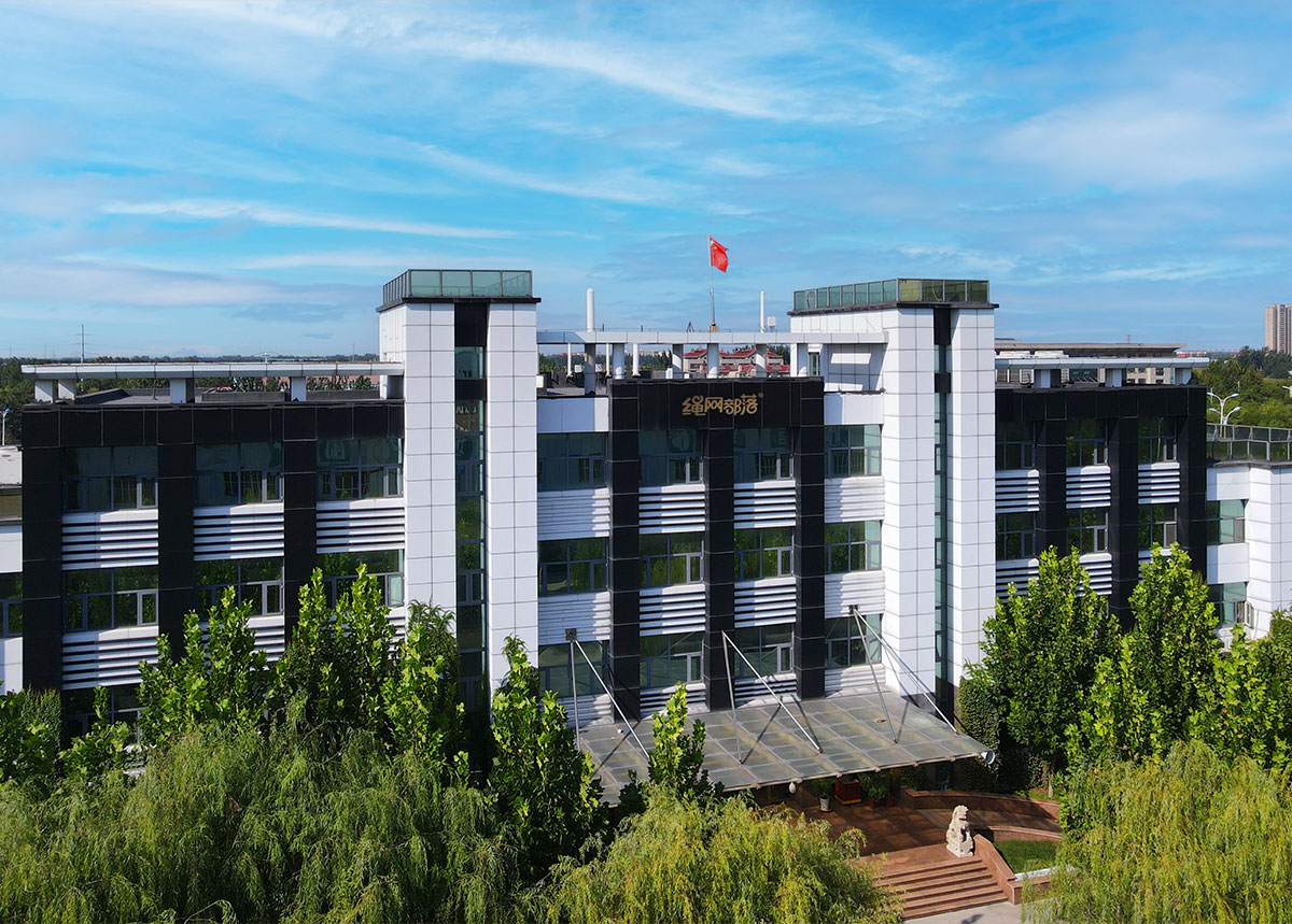 IP image customization