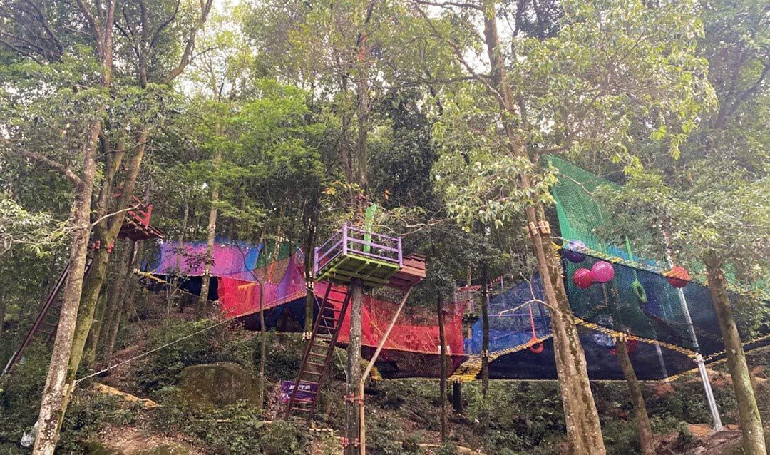 树上蹦床（丛林魔网）项目的玩法和优势有哪些？