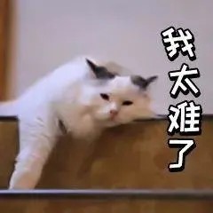 1725671059690848255459307520.jpg 图片
