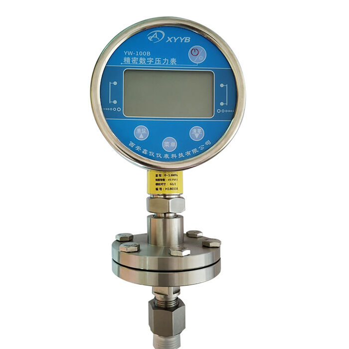 Diaphragm Digital Pressure Gauge