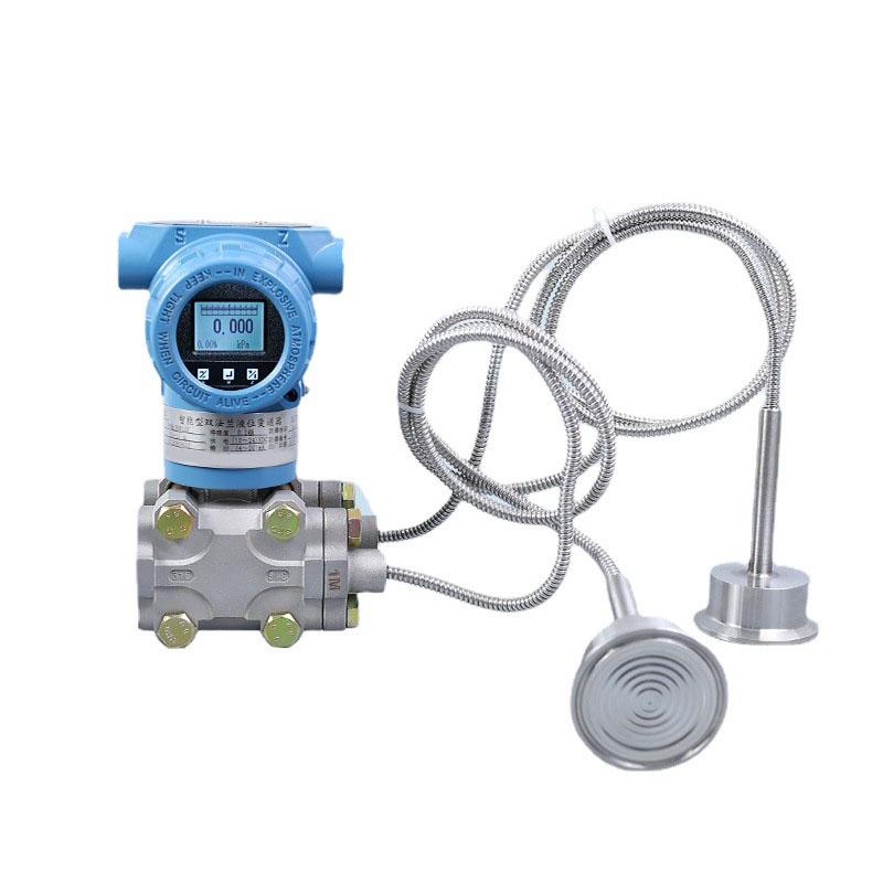 Double flange liquid level differential pressure transmitter