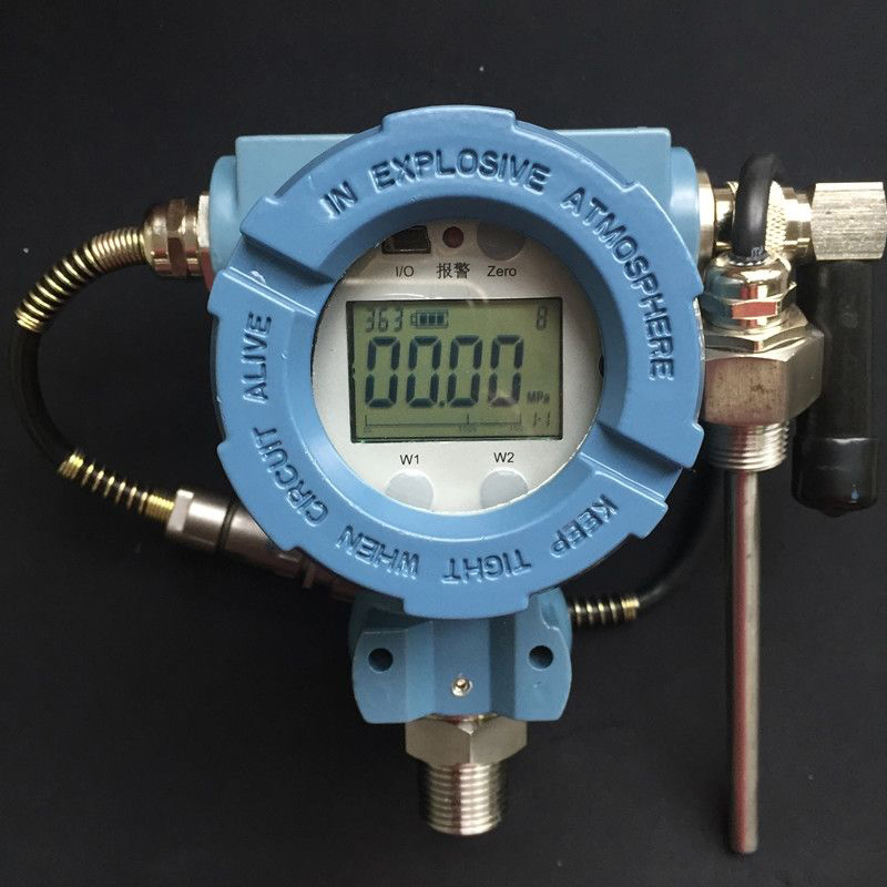 SBWR/Z一体化数显温度变送器