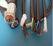 柔性本安铠装屏蔽耐高温电缆