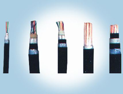 YJV22 3*50+1*25铠装电缆