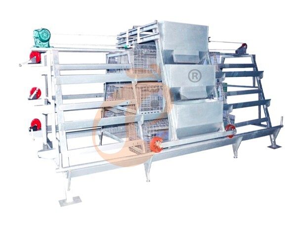 battery cage system for brooder (1)