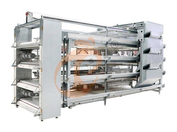 battery cage system for brooder (1)