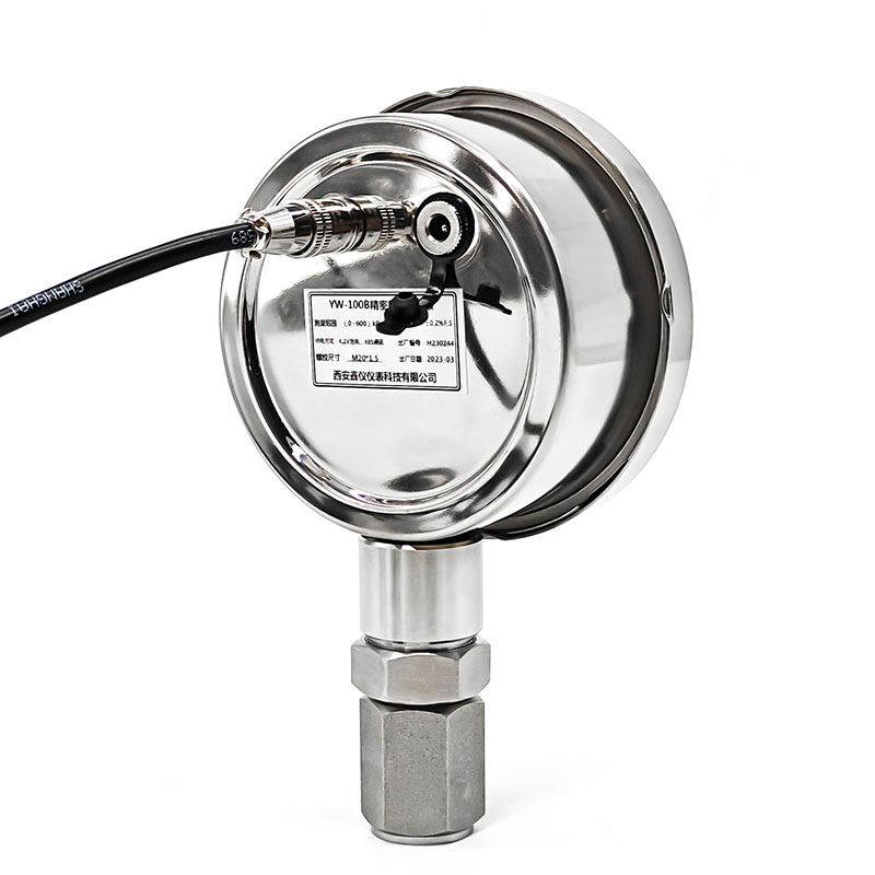 YW-100H高频数字压力表