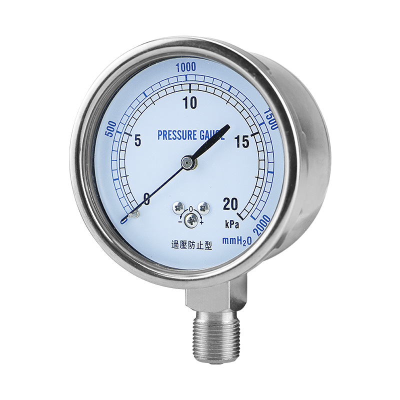 微压膜盒系列压力表 型号YE/YEF