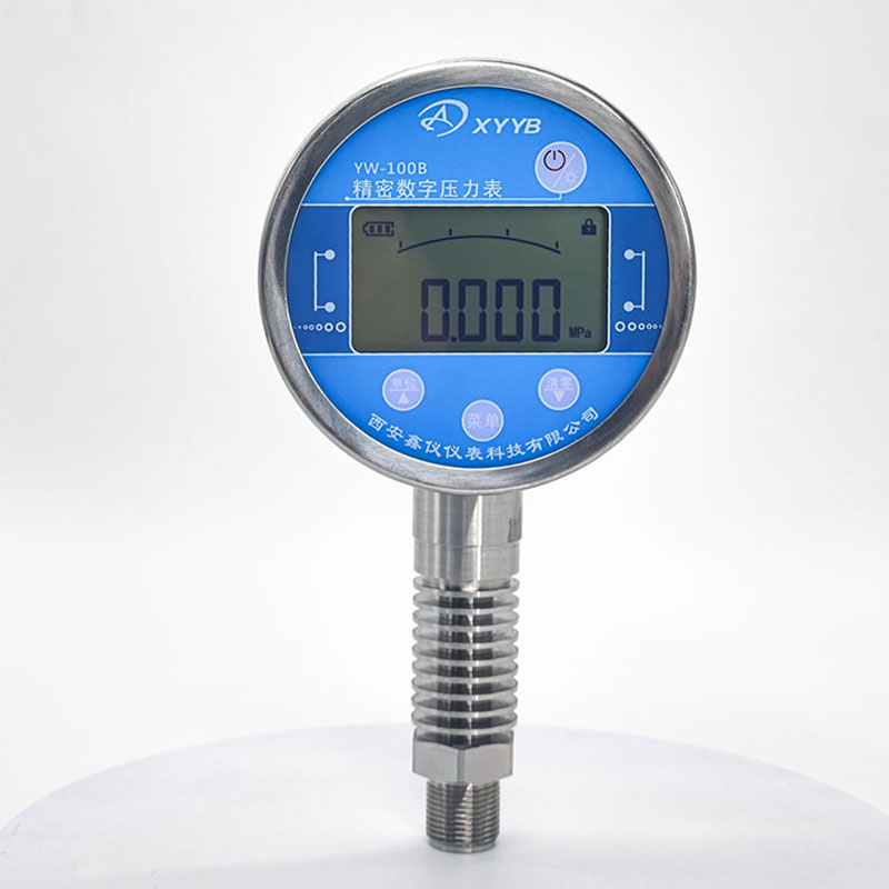 耐高温数字压力表
