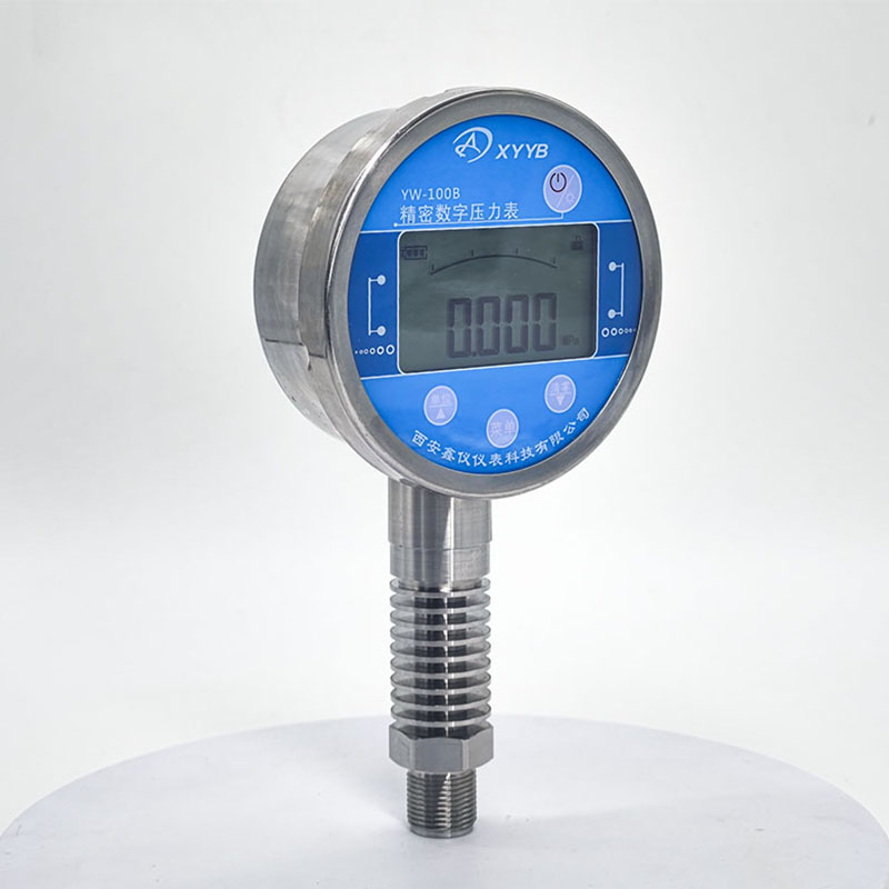 耐高温数字压力表