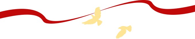 1730195105709823479173537792.png 图片
