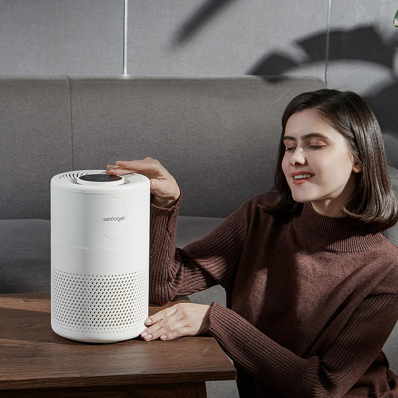 SEXLOGER施諾格 D02F空氣凈化器說明書