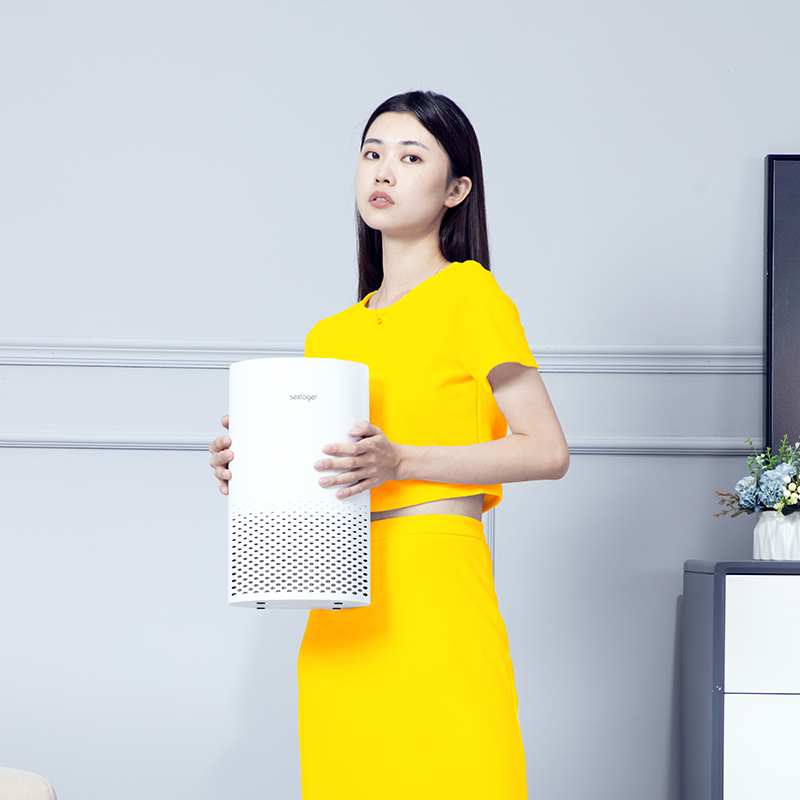 SEXLOGER施諾格B801桌面空氣凈化器