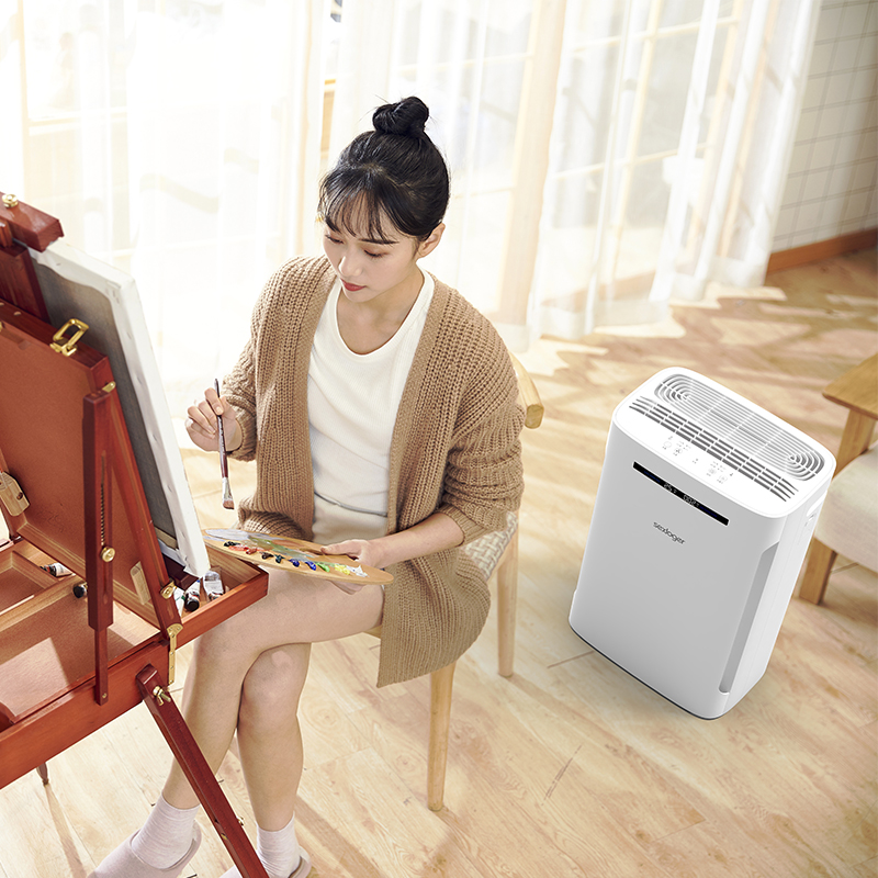 SEXLOGER施諾格2802加濕凈化一體機(jī)