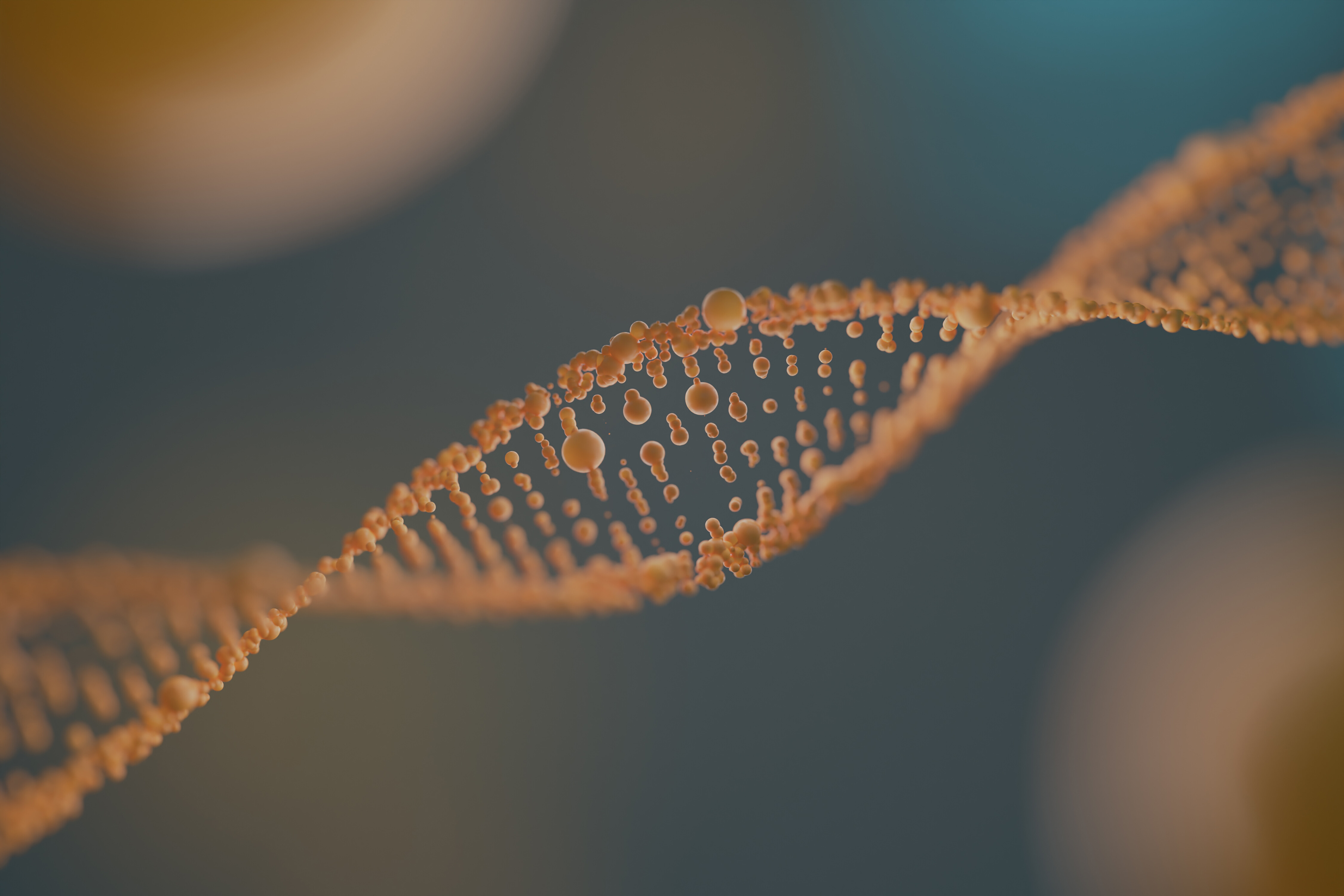 亚甲胺叶立德介导的[3+2]环加成：N-(甲氧甲基)-N-(三甲基硅甲基)苄胺的核心作用