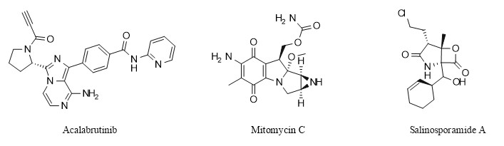 亚甲胺叶立德介导的[3+2]环加成：N-(甲氧甲基)-N-(三甲基硅甲基)苄胺的核心作用
