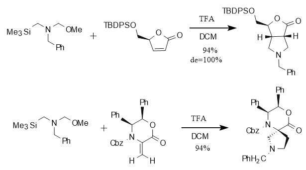 亚甲胺叶立德介导的[3+2]环加成：N-(甲氧甲基)-N-(三甲基硅甲基)苄胺的核心作用