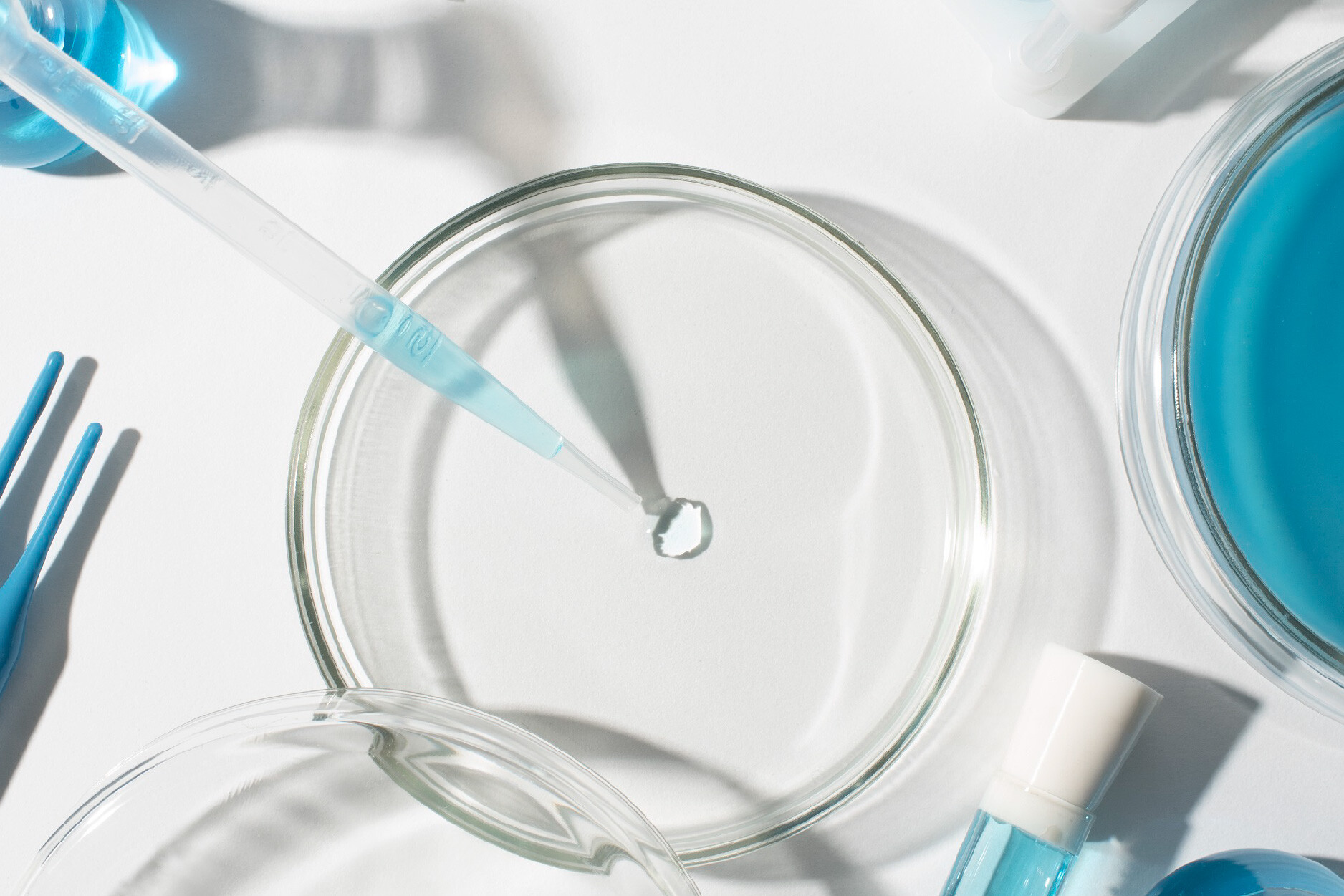 溶剂对比旋光测定结果的影响