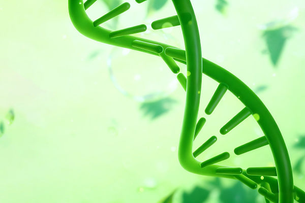 一种实用的绿色酰胺化策略 | TCFH-NMI在水性介质中的探索与实践 一种实用的绿色酰胺化策略 | TCFH-NMI在水性介质中的探索与实践