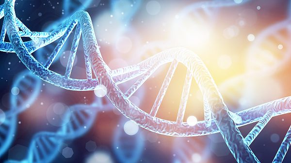 酰胺合成大革新 | β-酰氧基烯基酰胺引领高效构建酰胺键