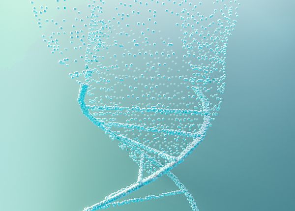 硅试剂助力多肽合成“减负” | 实现氨基酸直接缩合