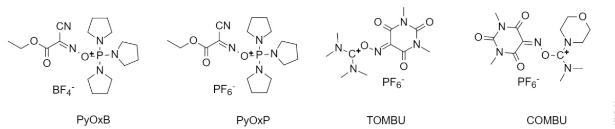 d97ddd1d-c9a4-4c88-9176-7e9d42b1762b.png d97ddd1d-c9a4-4c88-9176-7e9d42b1762b.png