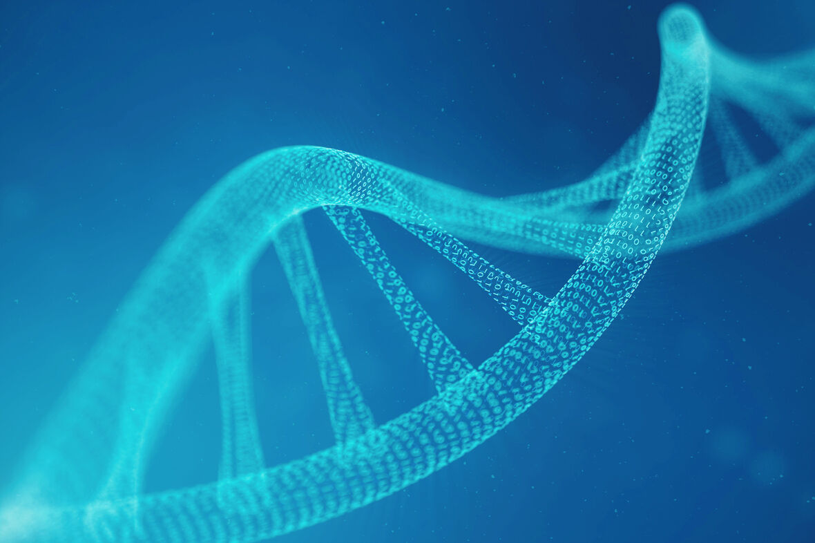 伯吉斯 一种温和的选择性脱水试剂