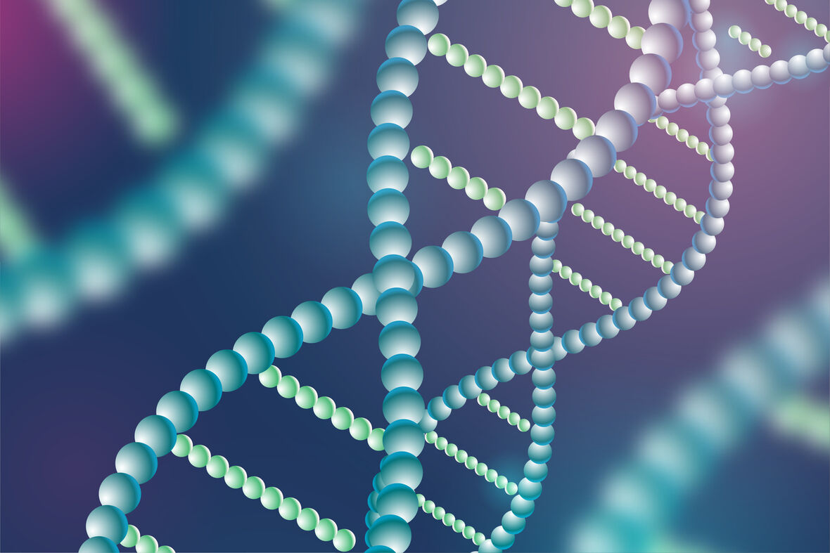 HOPO 一个因新冠药物而“出圈”的消旋抑制剂