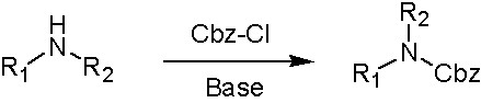 保護(hù)基-圖1.png 保護(hù)基-圖1.png