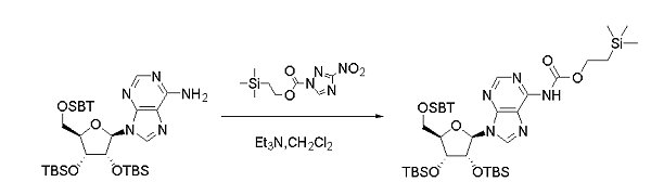 Teoc-图片7.png Teoc-图片7.png