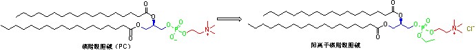 磷脂-图3.png 磷脂-图3.png