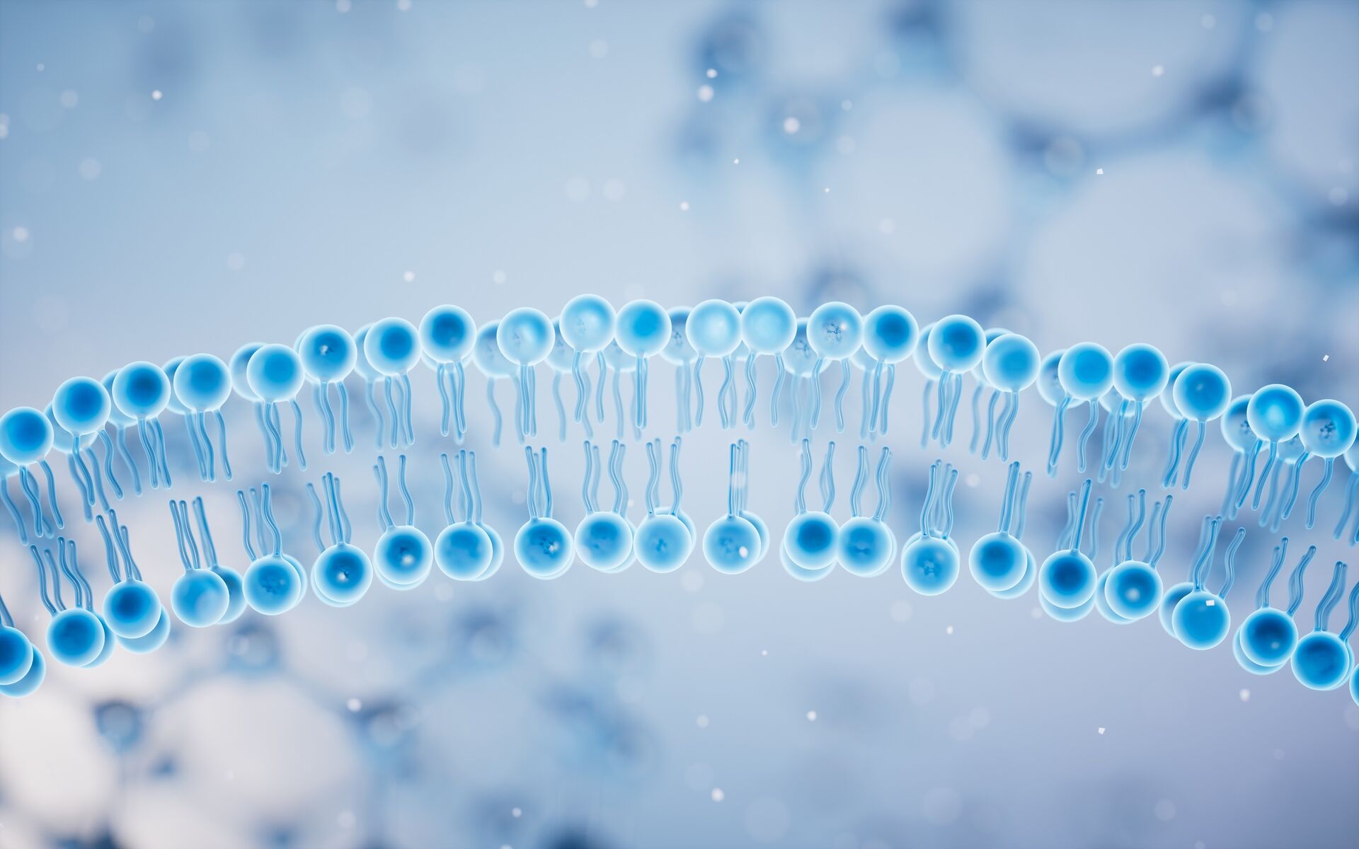 选择磷脂时应该考虑哪些问题？