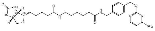 Biotin-Clip