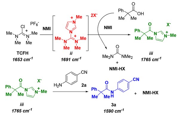 TCFH-图3.png TCFH-图3.png
