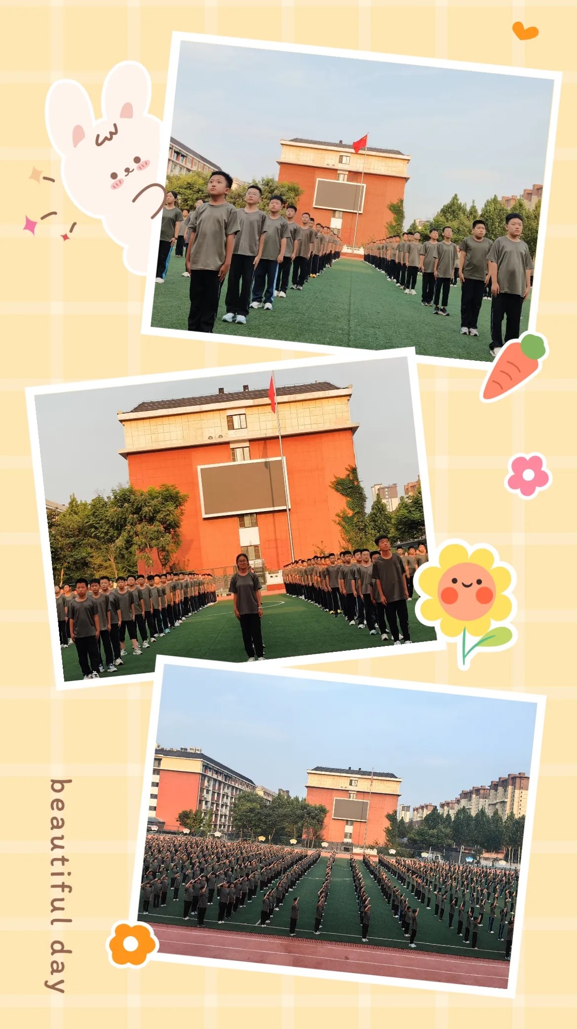 图片 12.png 图片 12.png