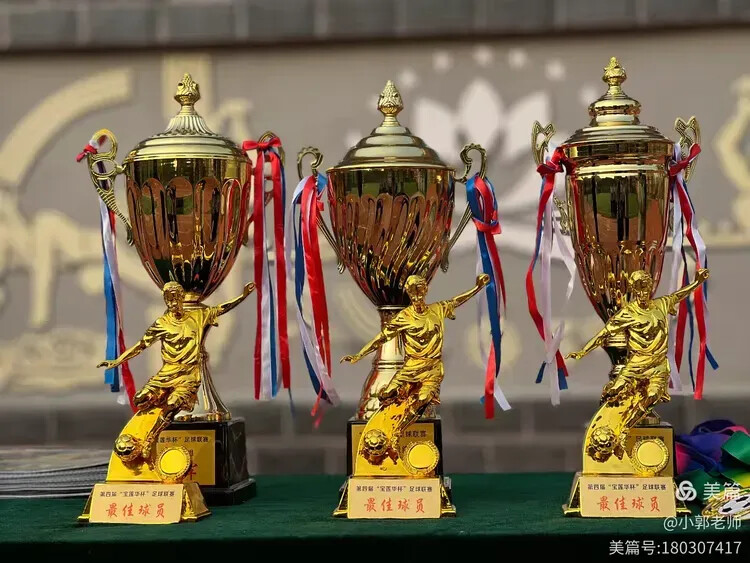 驰骋绿茵,足够热爱——宁津县宝莲华学校举行第四届“宝莲华杯”足球联赛