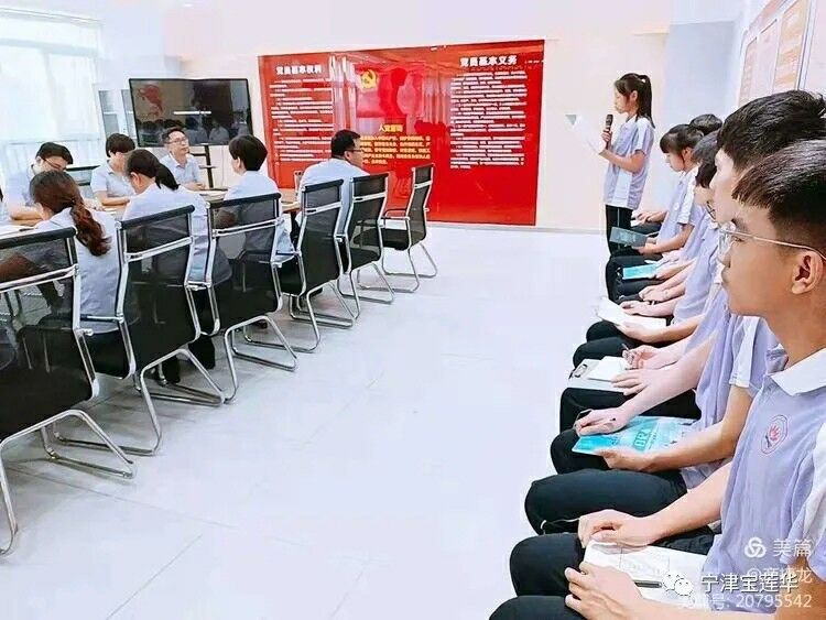 真心干教育 永远跟党走—宁津县宝莲华学校党支部礼赞建党百年