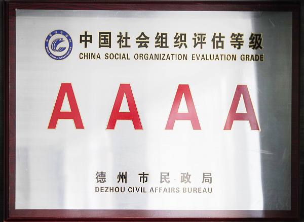 中国社会组织评估等级