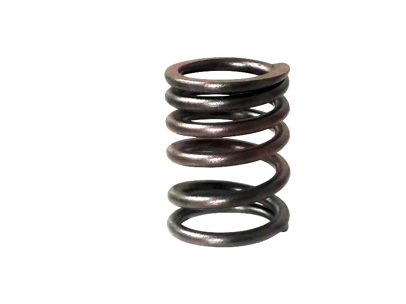 Engine plunger spring