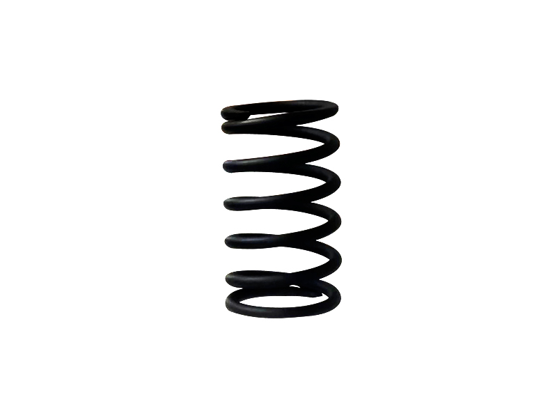 Engine plunger spring