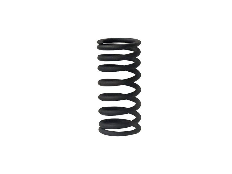Engine plunger spring