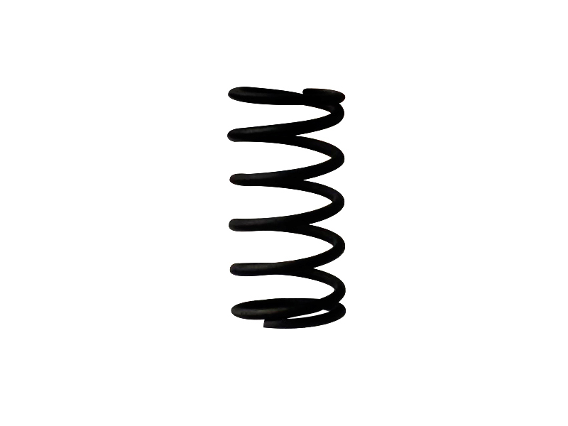 Engine plunger spring