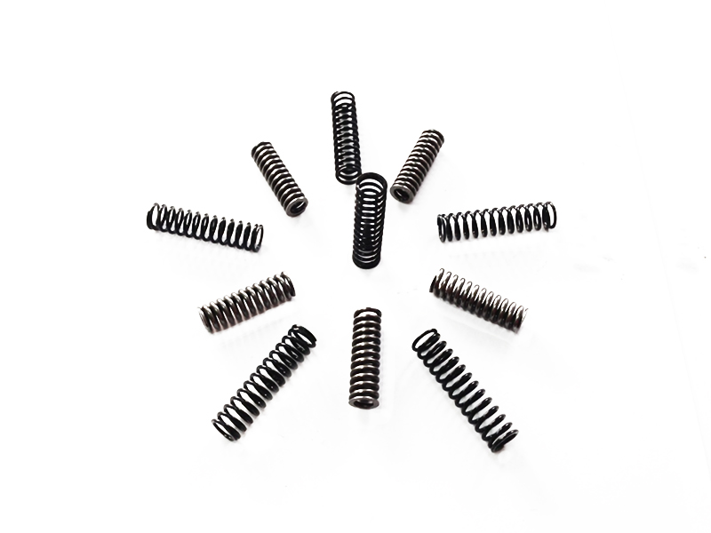 Engine plunger spring