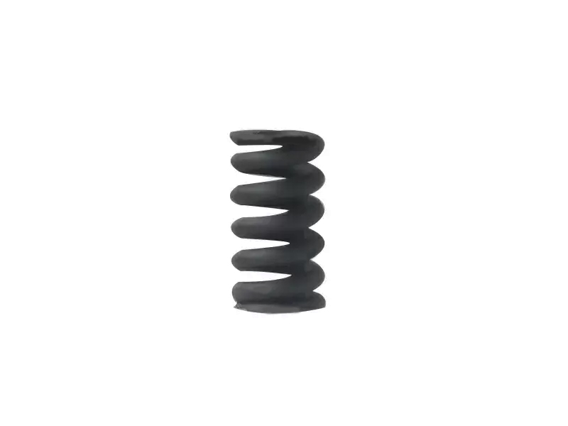 Engine plunger spring