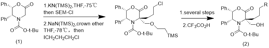 SEM-Cl-图10.png SEM-Cl-图10.png