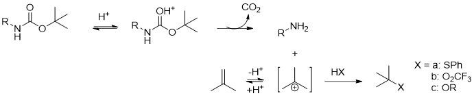 Boc-Säureanhydrid – Abbildung 8.png